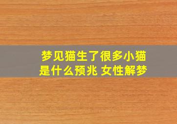 梦见猫生了很多小猫是什么预兆 女性解梦